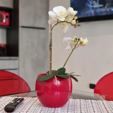 Solino House Апартаменты