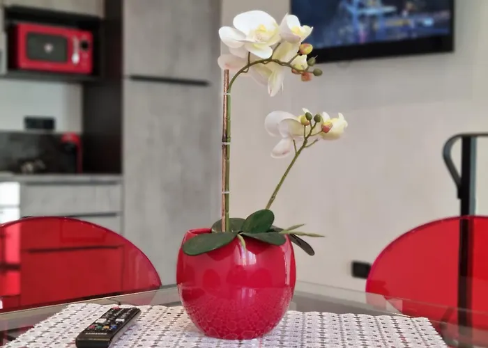 Solino House Appartamento